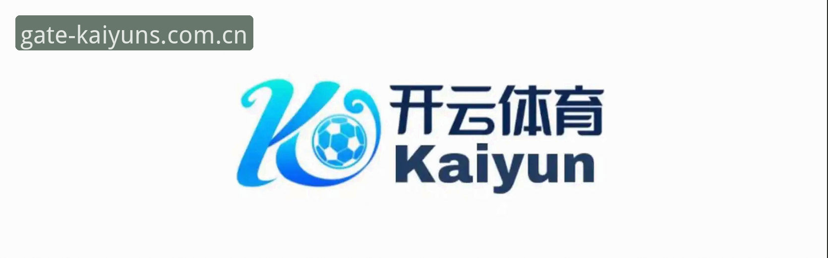 kaiyun APP下载 开云平台实战心得:资深用户教你搞定kaiyun APP下载与数据同步